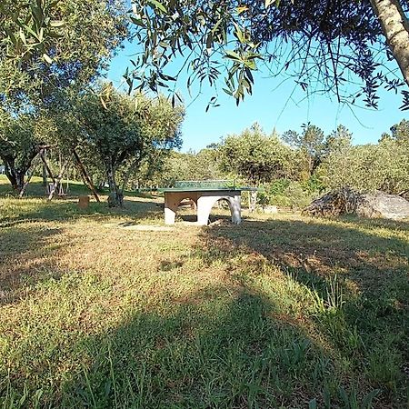 Quinta Da Pedra Mija Hostal Santar Exterior foto