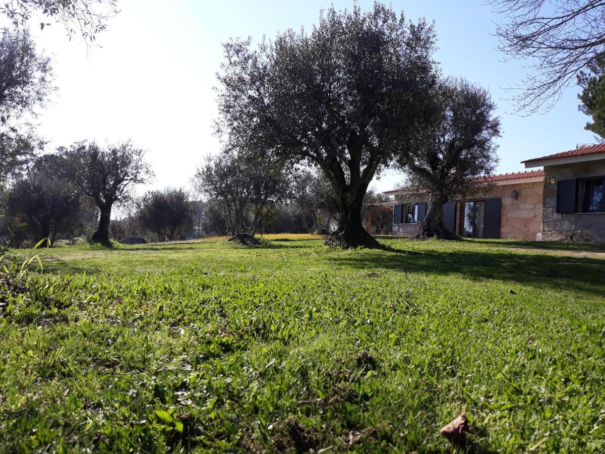 Quinta Da Pedra Mija Hostal Santar Exterior foto