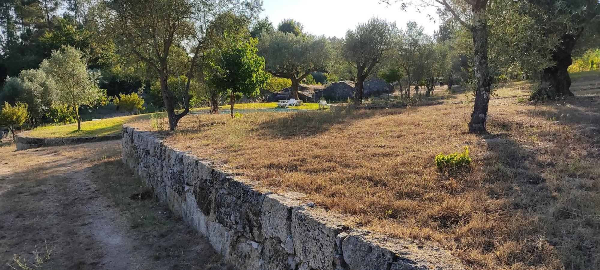 Quinta Da Pedra Mija Hostal Santar Exterior foto