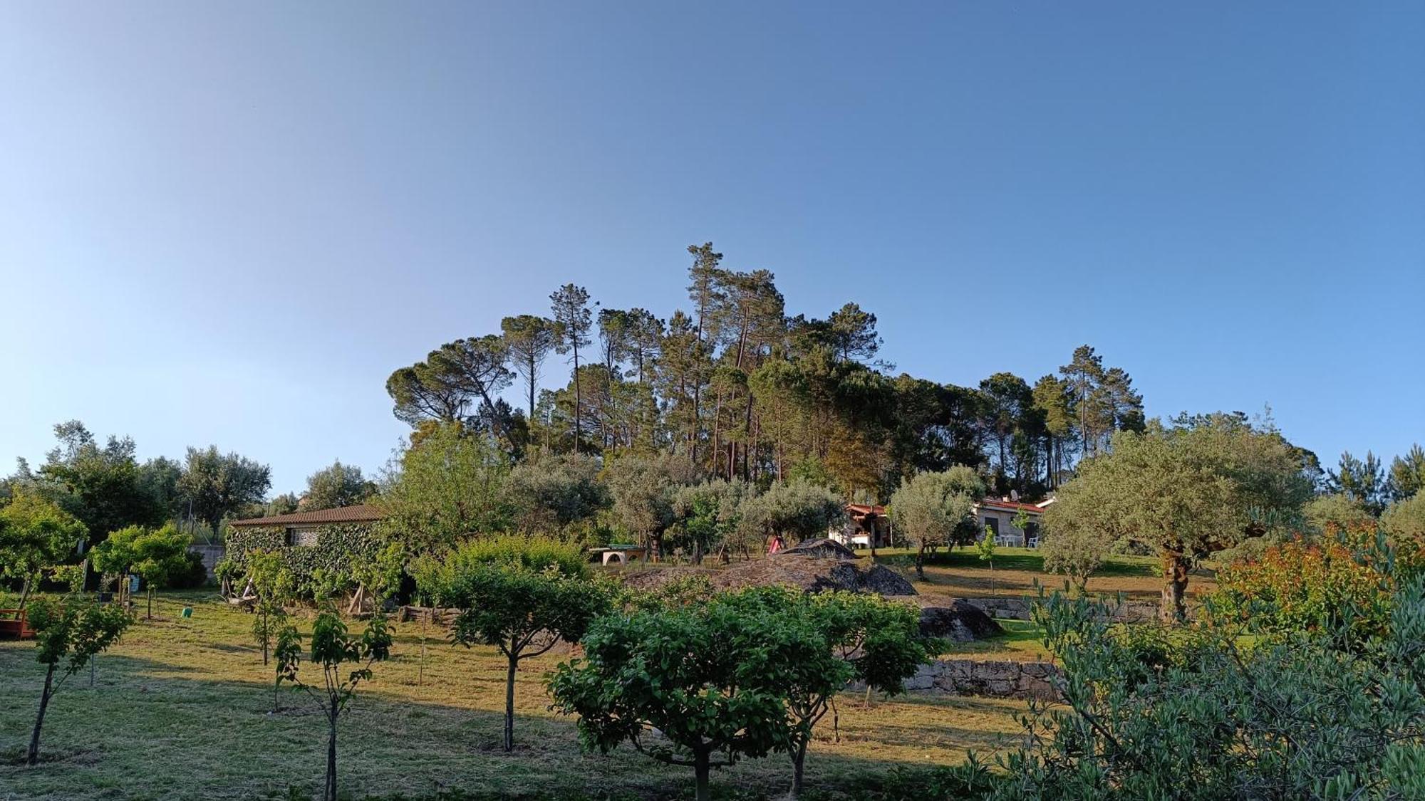 Quinta Da Pedra Mija Hostal Santar Exterior foto
