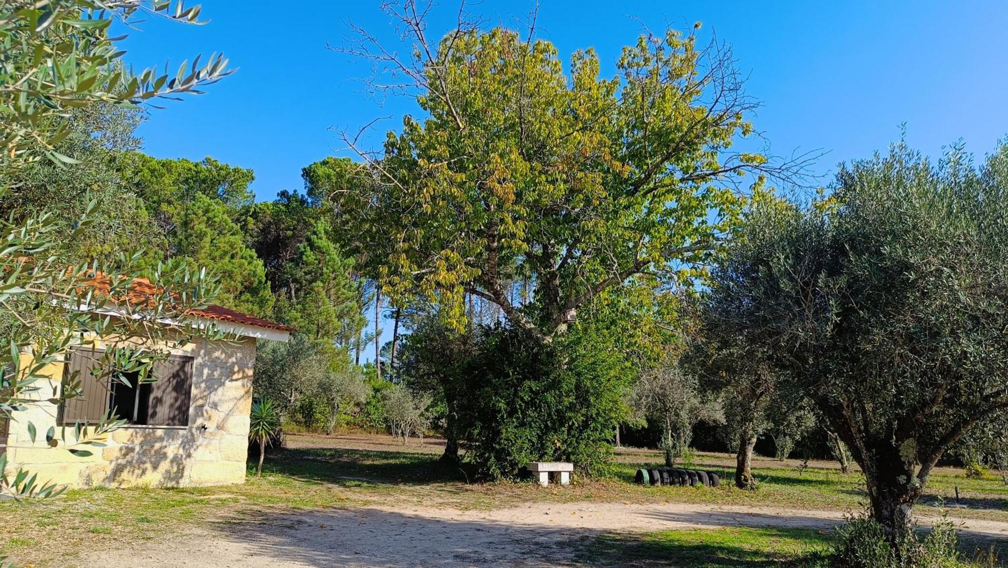 Quinta Da Pedra Mija Hostal Santar Exterior foto