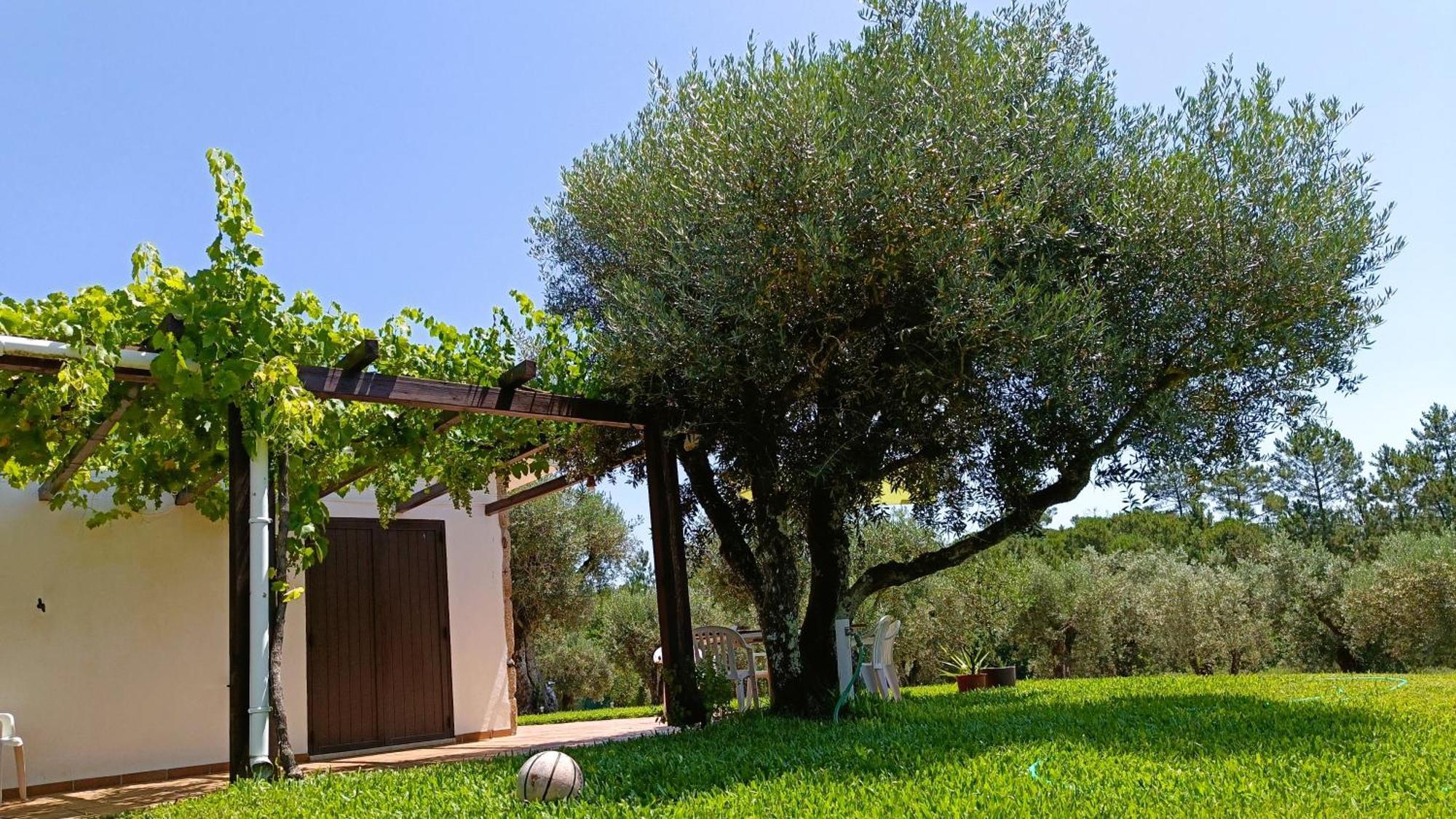 Quinta Da Pedra Mija Hostal Santar Exterior foto